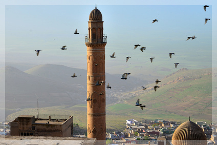 Mardin